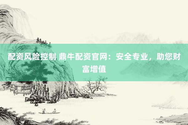 配资风险控制 鼎牛配资官网：安全专业，助您财富增值