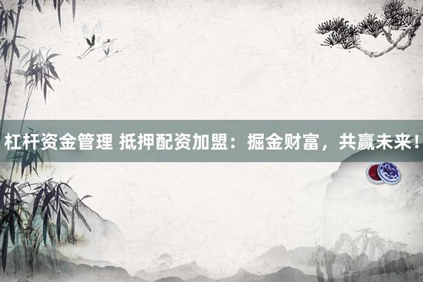 杠杆资金管理 抵押配资加盟：掘金财富，共赢未来！