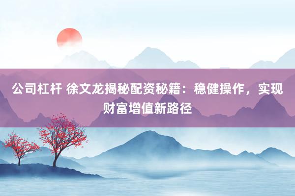 公司杠杆 徐文龙揭秘配资秘籍：稳健操作，实现财富增值新路径