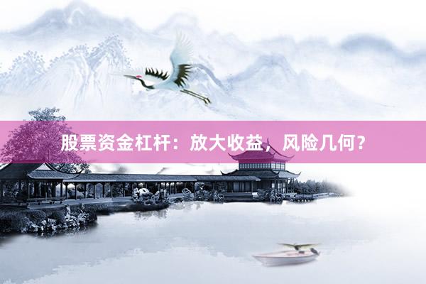 股票资金杠杆：放大收益，风险几何？