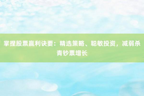 掌捏股票赢利诀要：精选策略、聪敏投资，减弱杀青钞票增长