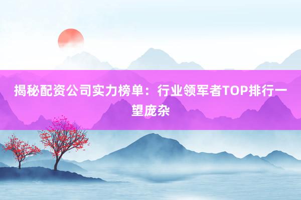 揭秘配资公司实力榜单：行业领军者TOP排行一望庞杂