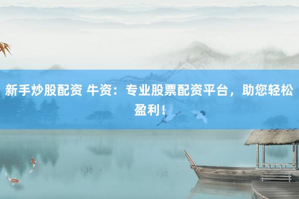 新手炒股配资 牛资：专业股票配资平台，助您轻松盈利！