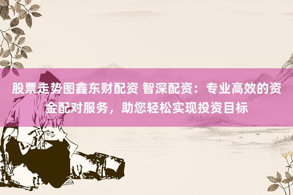 股票走势图鑫东财配资 智深配资：专业高效的资金配对服务，助您轻松实现投资目标