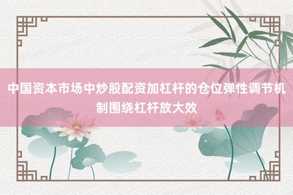 中国资本市场中炒股配资加杠杆的仓位弹性调节机制围绕杠杆放大效