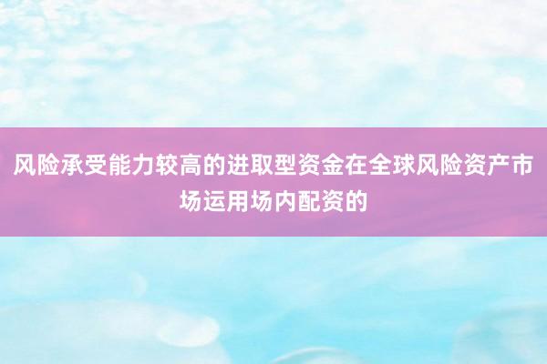 风险承受能力较高的进取型资金在全球风险资产市场运用场内配资的