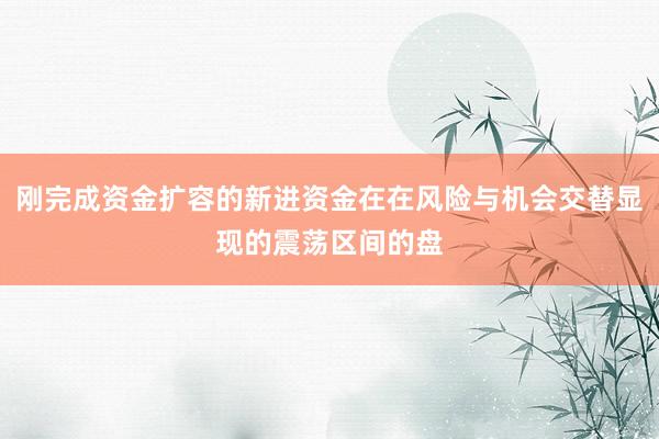 刚完成资金扩容的新进资金在在风险与机会交替显现的震荡区间的盘