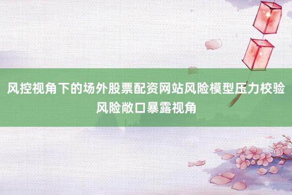风控视角下的场外股票配资网站风险模型压力校验风险敞口暴露视角