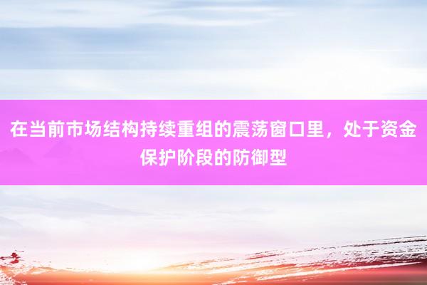 在当前市场结构持续重组的震荡窗口里，处于资金保护阶段的防御型