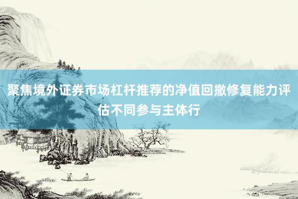 聚焦境外证券市场杠杆推荐的净值回撤修复能力评估不同参与主体行